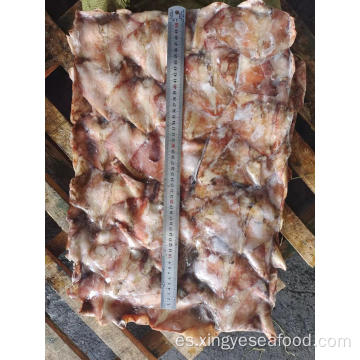 Squid congelado sobras de ala Dosidicus Gigas 300-500G